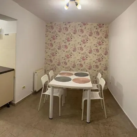 Under The Fig Tree Apartment Timisoara Exterior photo