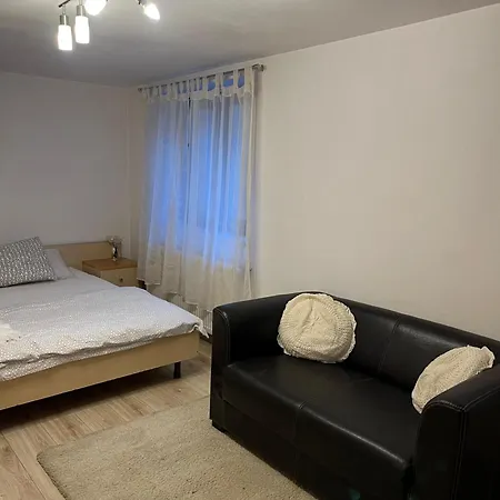 Under The Fig Tree Apartment Timisoara Exterior photo