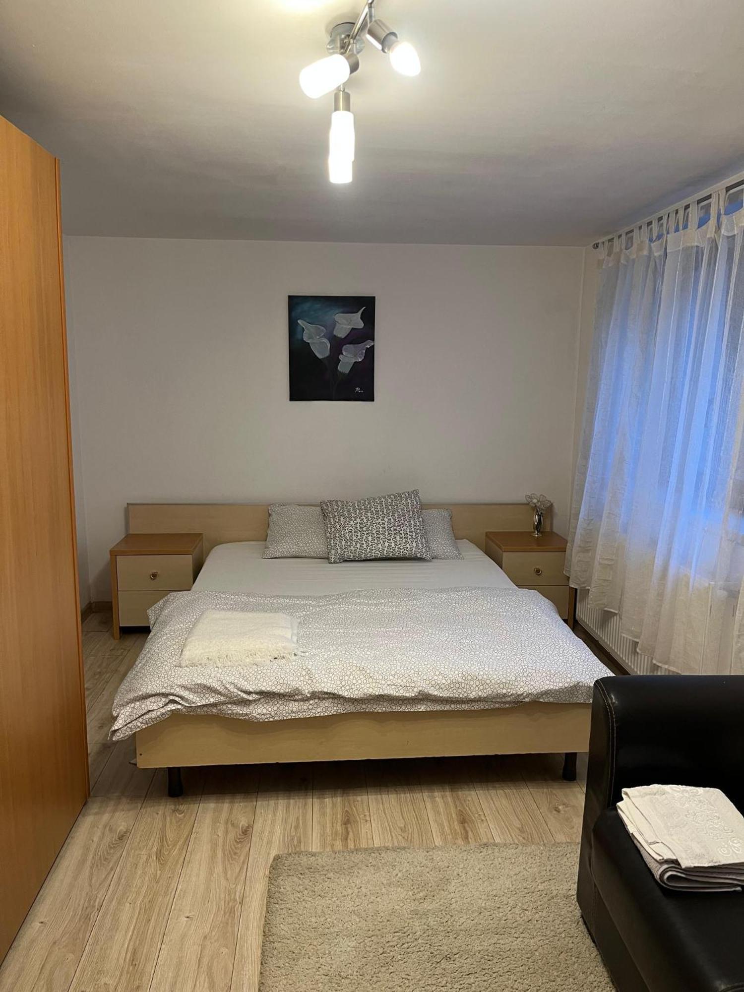 Apartment Under The Fig Tree Timisoara